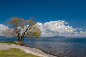 Lake Taupo was formed after a supervolcano eruption formed a volcanic  caldera  after an enormous volcanic eruption. The volcano lies beneath the waters of Lake Taupo.